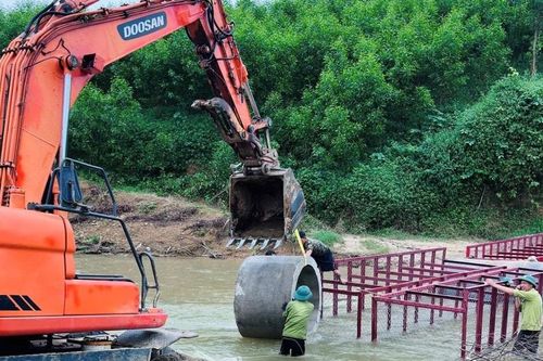 Công ty Lâm Nông nghiệp Sông Hiếu tập trung sửa đường lâm nghiệp, trồng lại rừng bị gãy đổ