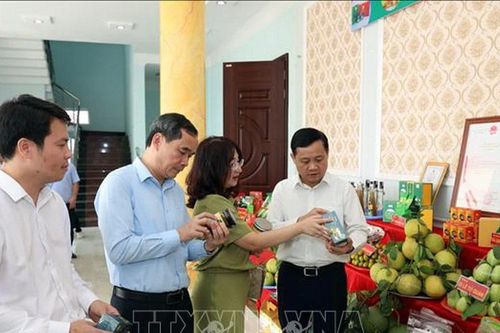 OCOP Tuyên Quang: Từ sản vật bản địa đến thương hiệu vùng miền