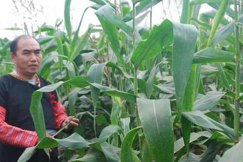 Giảm nghèo trong giai đoạn 2026-2030 đòi hỏi một chiến lược toàn diện
