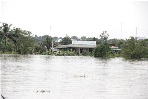 Lâm Đồng: Hơn 1.700 căn nhà bị ngập do mưa lũ