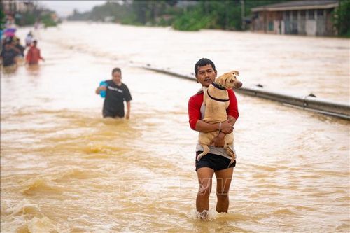 WMO dự báo có thể có La Nina yếu trong 3 tháng tới