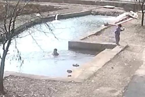 Bé trai nhanh trí gọi người, cứu bạn thoát đuối nước