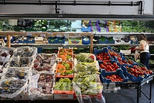Chiến lược mới của EU nhằm củng cố an ninh kinh tế