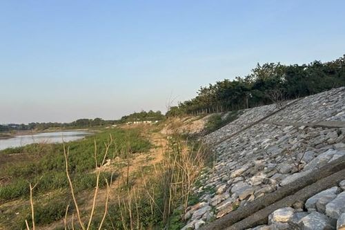Dành nguồn lực đảm bảo an toàn các tuyến đê tại Hà Nội