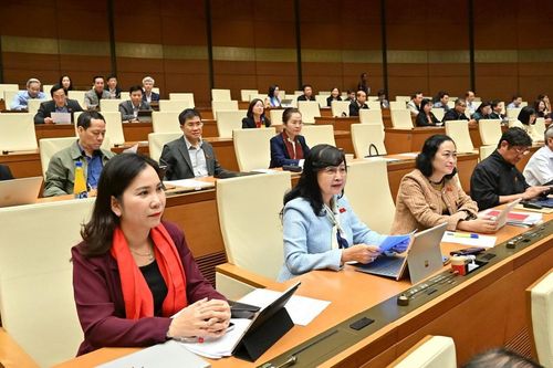 Đại biểu đề xuất nhiều giải pháp đảm bảo sự phát triển kinh tế - xã hội bền vững trong giai đoạn mới