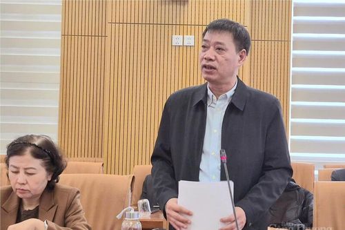 Tết Nguyên đán 2026 có thể lạnh hơn so với các năm trước