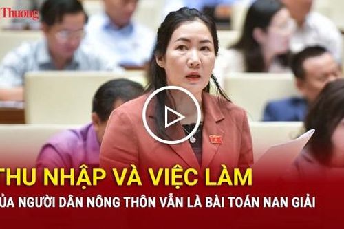 Thu nhập và việc làm của người dân nông thôn vẫn là bài toán nan giải