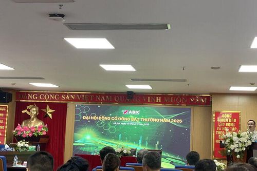 ĐHĐCĐ bất thường ABIC: Bầu thành viên HĐQT, thành viên Ban Kiểm soát