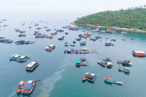 Rộn ràng Lễ hội Nghinh Ông Lại Sơn đặc khu Kiên Hải năm 2025