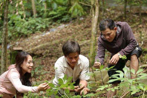 Đà Nẵng có thể trở thành trung tâm dược liệu của cả nước và khu vực?