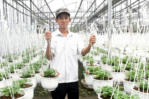 Công nghệ cao dẫn dắt phát triển nông nghiệp bền vững