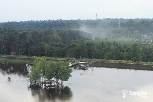Hành trình của những nụ cười