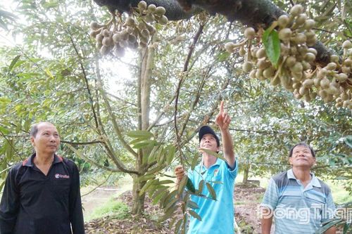 Tổ đồng hành khởi nghiệp của Phú Hương Hội quán