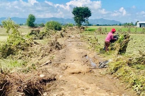 Khôi phục sản xuất sau 'thiên tai kép': Người dân mong sớm nhận hỗ trợ