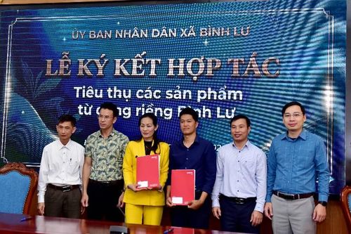Ký kết hợp tác tiêu thụ các sản phẩm từ dong riềng