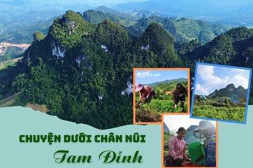 Chuyện dưới chân núi Tam Đỉnh