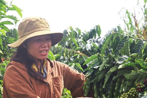Phụ nữ Trường Xuân nỗ lực dựng xây kinh tế, đổi mới cuộc sống