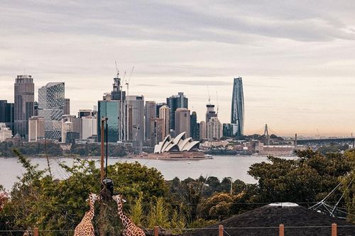 Sydney: 7 trải nghiệm từ bến cảng đến dãy núi Blue Mountains