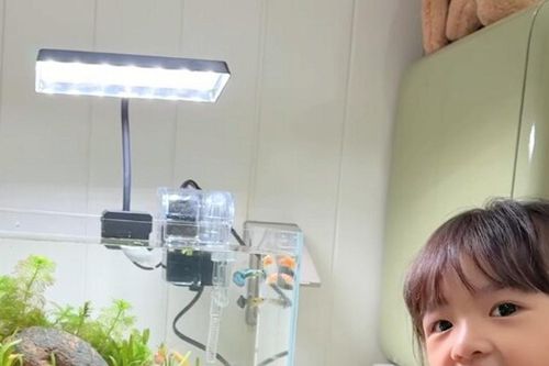 Con gái Đông Nhi tự tin giới thiệu 'thành viên mới' của gia đình