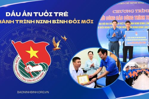 Dấu ấn tuổi trẻ trên hành trình Ninh Bình đổi mới