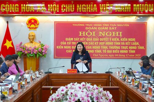 Giải quyết kiến nghị của cử tri kịp thời, thực chất và hiệu quả