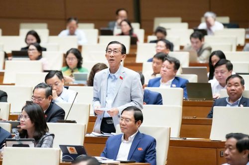 Đại biểu Quốc hội đề xuất miễn thuế cho hộ kinh doanh bị ảnh hưởng do bão lũ