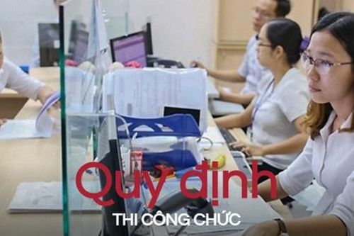 Trường hợp vi phạm nào bị đình chỉ thi công chức