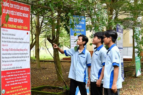 Cà Mau vượt kế hoạch đưa lao động đi làm việc ở nước ngoài