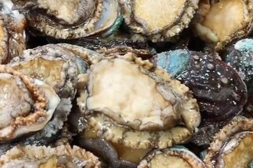 Bữa ăn trưa tại một trường mẫu giáo 'gây sốt' MXH, chỉ 70 nghìn nhưng toàn bào ngư, tôm hùm, hải sâm
