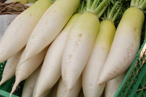 3 thực phẩm đại kỵ với củ cải trắng: Món nào cũng quen nhưng ăn chung là nhập viện ngay, nhiều người không biết mà tránh