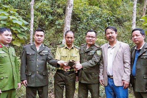 Người dân Nghệ An bắt gặp động vật hoang dã thuộc nhóm cực kỳ nguy cấp, nằm trong Sách đỏ Việt Nam và thế giới, là con gì?