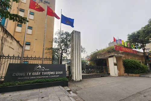 Cổ phiếu tăng trần 12 phiên liên tiếp, Giầy Thượng Đình lên tiếng giải trình