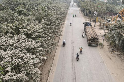 'Bão bụi' bao phủ đường cửa ngõ Hà Nội, cây cối chuyển màu trắng xóa