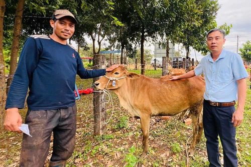 Đặt mục tiêu còn 2,24% hộ nghèo, Gia Lai triển khai loạt chương trình sinh kế