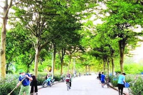 Từ báo động đỏ đến hành động xanh