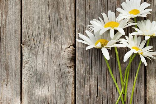 Số cuối ngày sinh Âm lịch của người sống tinh tế và biết yêu bản thân