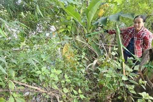 Bờ sông sạt lở nghiêm trọng uy hiếp nhà cửa, đất sản xuất của người dân sau mưa bão