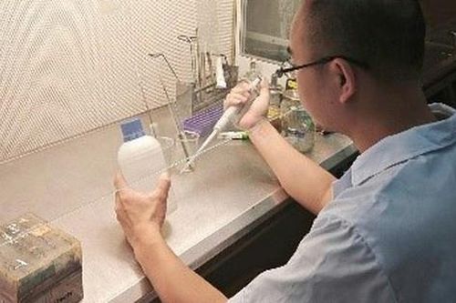 Nhà khoa học Việt nuôi đông trùng hạ thảo giàu hoạt chất trên sâu chít