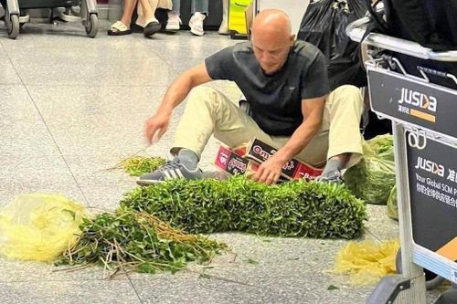 Thực hư 'ông Tây' ngồi nhặt rau muống giữa sân bay Nội Bài