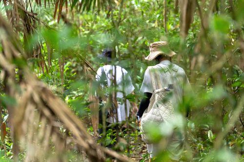 Hiểm họa từ trekking ghép đoàn, tìm người lạ đồng hành
