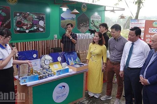 Phát triển du lịch nông thôn gắn với bảo tồn văn hóa