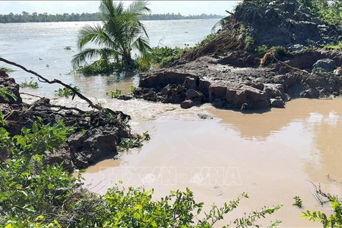 Vĩnh Long: Khắc phục kịp thời sạt lở cồn Thanh Long