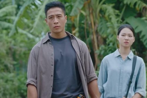 Linh Sơn vừa tái xuất màn ảnh đã phải sống ẩn dật ở Bãi Giữa sông Hồng
