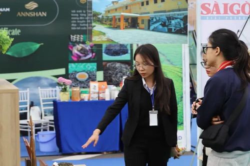 Lâm Đồng: Mở cửa không gian triển lãm trà tại Lễ hội Trà quốc tế
