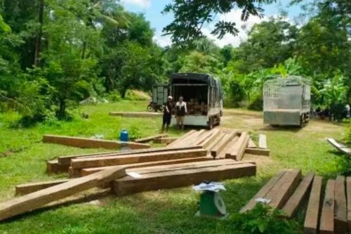 Khởi tố 10 bị can trong hai vụ vận chuyển gỗ quý từ Lào về Quảng Trị