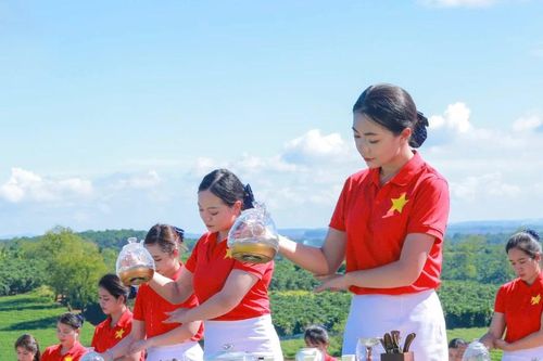 Hàng chục đại sứ dự khai mạc Lễ hội Trà quốc tế