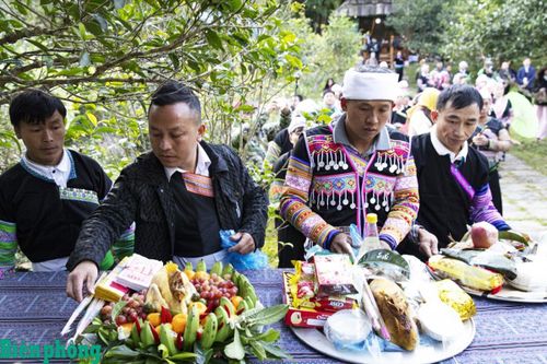 Lễ cúng cây chè tổ của đồng bào Mông ở Lào Cai