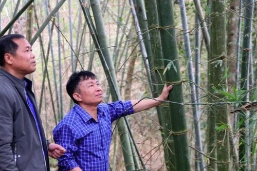 Người có uy tín ở vùng cao Nghệ An