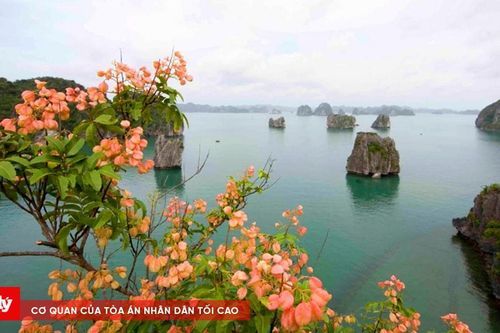 Chủ động bảo vệ tài nguyên thiên nhiên, hướng tới phát triển bền vững