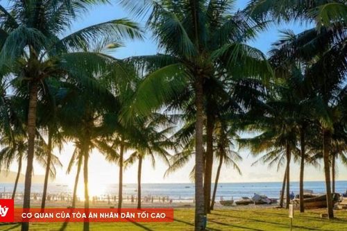 Cả nước vượt 1 tỷ cây xanh, Đà Nẵng đẩy mạnh xây dựng đô thị sinh thái